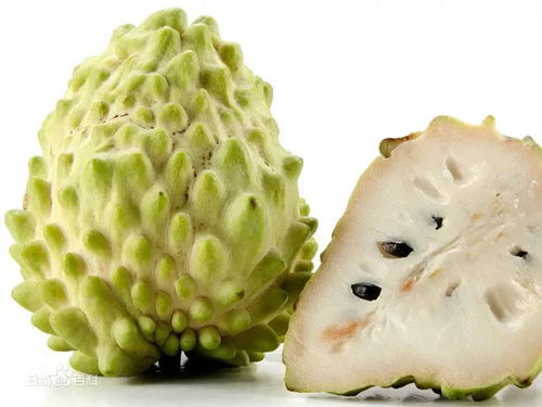 均安人必看！這種全身是寶的應季水果正新鮮上市，別錯過了