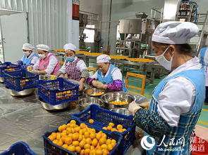 金融跨界融合，湖北小橘紅茶葉綻放億元產(chǎn)業(yè)光芒