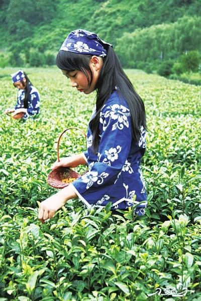 陜西茶葉節(jié)即將盛大啟幕 一葉飄香，品味秦風(fēng)漢韻