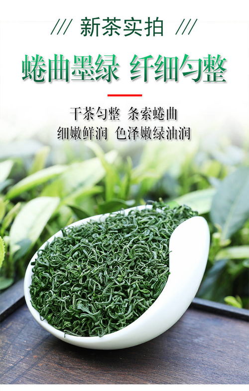 日照充足，高山云霧間品味春意 2020新茶炒青茶品鑒